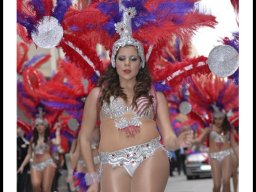 Carnaval de Mula 2014